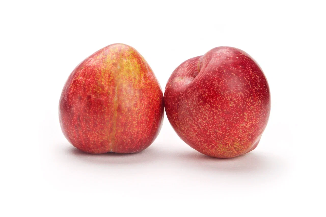 Слива розовая